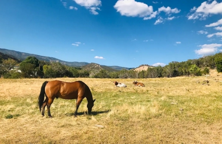 Western Colorado Short-Term Rental Property w Income History - image 19