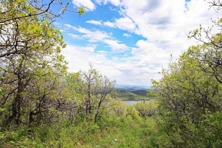 Colorado Hunting Land For Sale Near Vega State Park - image 4
