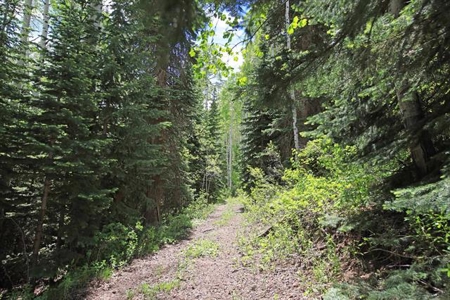 Colorado Hunting Land For Sale Near Vega State Park - image 12