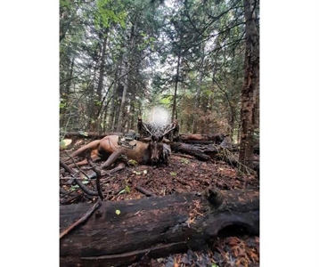 Colorado Hunting Land For Sale Near Vega State Park - image 34