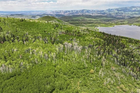 Colorado Hunting Land For Sale Near Vega State Park - image 8