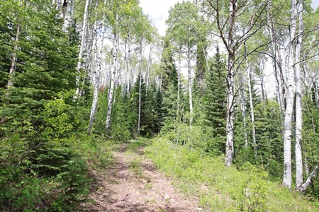 Colorado Hunting Land For Sale Near Vega State Park - image 5