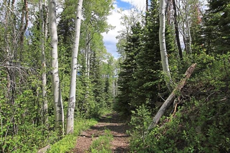 Colorado Hunting Land For Sale Near Vega State Park - image 16