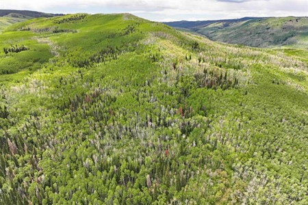 Colorado Hunting Land For Sale Near Vega State Park - image 13