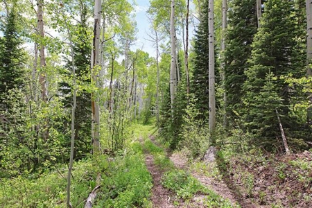 Colorado Hunting Land For Sale Near Vega State Park - image 17