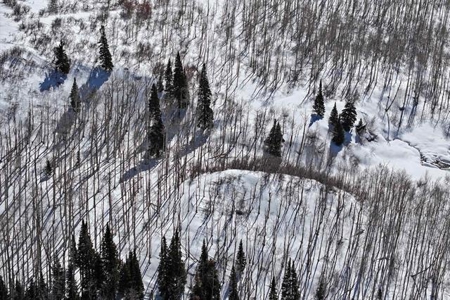 Colorado Hunting Land For Sale Near Vega State Park - image 31