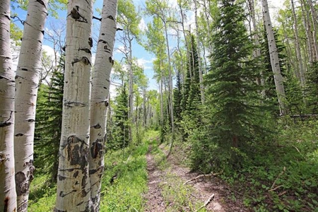 Colorado Hunting Land For Sale Near Vega State Park - image 15