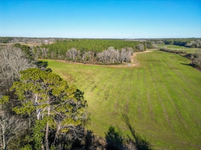 Land for Sale in Jefferson Davis County - image 1