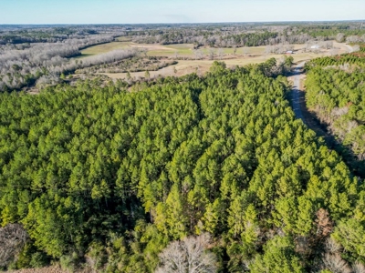Land for Sale in Jefferson Davis County - image 15