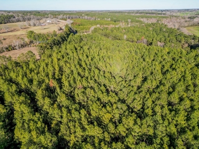 Land for Sale in Jefferson Davis County - image 16