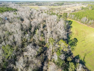 Land for Sale in Jefferson Davis County - image 6