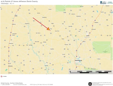 Land for Sale in Jefferson Davis County - image 25