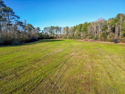 Land for Sale in Jefferson Davis County - image 9