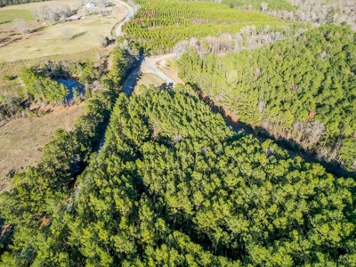 Land for Sale in Jefferson Davis County - image 17