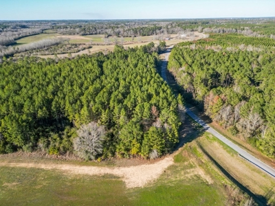 Land for Sale in Jefferson Davis County - image 14