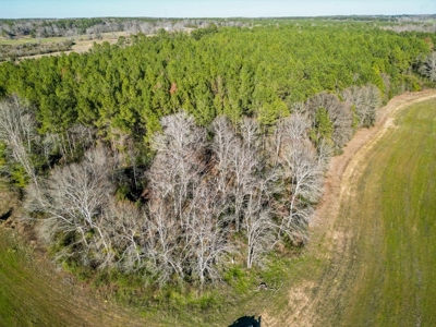 Land for Sale in Jefferson Davis County - image 11