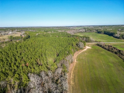 Land for Sale in Jefferson Davis County - image 13