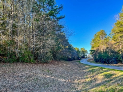 Land for Sale in Jefferson Davis County - image 22