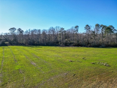 Land for Sale in Jefferson Davis County - image 2