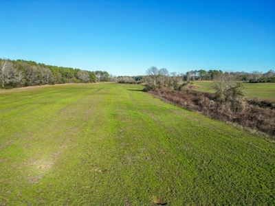 Land for Sale in Jefferson Davis County - image 10