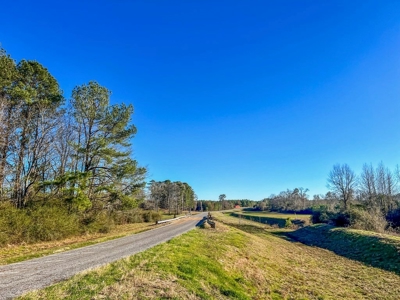 Land for Sale in Jefferson Davis County - image 23