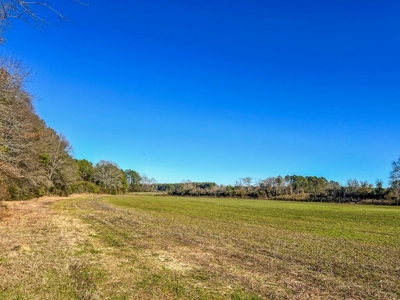 Land for Sale in Jefferson Davis County - image 21