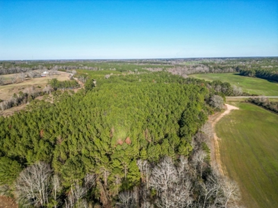 Land for Sale in Jefferson Davis County - image 12