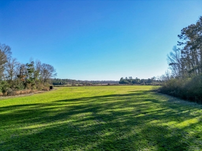 Land for Sale in Jefferson Davis County - image 19