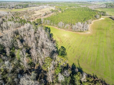 Land for Sale in Jefferson Davis County - image 7