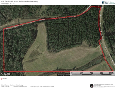 Land for Sale in Jefferson Davis County - image 26