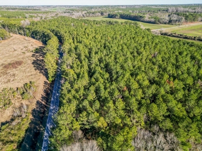 Land for Sale in Jefferson Davis County - image 18