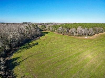 Land for Sale in Jefferson Davis County - image 5