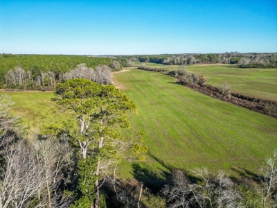 Land for Sale in Jefferson Davis County - image 4