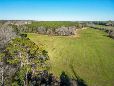 Land for Sale in Jefferson Davis County - image 3