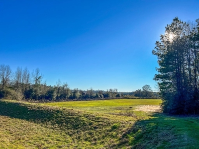 Land for Sale in Jefferson Davis County - image 24
