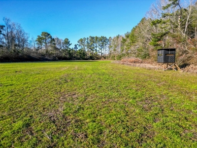 Land for Sale in Jefferson Davis County - image 8