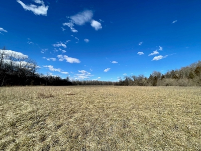 3-Br, 2-Ba Country Log Sided Home On 22.39 Acres: - image 44