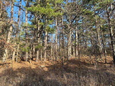 Land for Sale- Near Robbers Cave Park-  Wilburton, Oklahoma - image 7