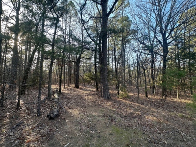 Land for Sale- Near Robbers Cave Park-  Wilburton, Oklahoma - image 11
