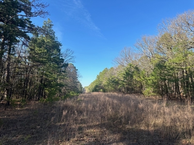 Land for Sale- Near Robbers Cave Park-  Wilburton, Oklahoma - image 10
