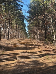 Land for Sale- Near Robbers Cave Park-  Wilburton, Oklahoma - image 1