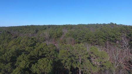 Land for Sale- Near Robbers Cave Park-  Wilburton, Oklahoma - image 18