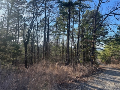 Land for Sale- Near Robbers Cave Park-  Wilburton, Oklahoma - image 2