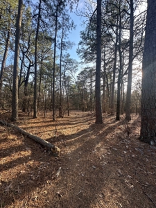 Land for Sale- Near Robbers Cave Park-  Wilburton, Oklahoma - image 13