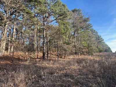Land for Sale- Near Robbers Cave Park-  Wilburton, Oklahoma - image 6