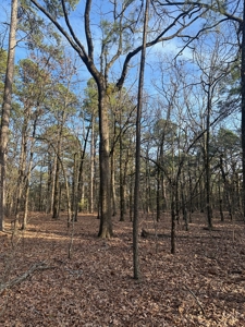 Land for Sale- Near Robbers Cave Park-  Wilburton, Oklahoma - image 15