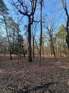 Land for Sale- Near Robbers Cave Park-  Wilburton, Oklahoma - image 12