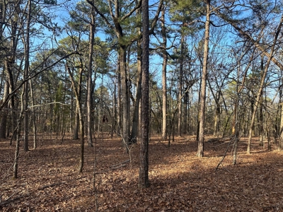 Land for Sale- Near Robbers Cave Park-  Wilburton, Oklahoma - image 16
