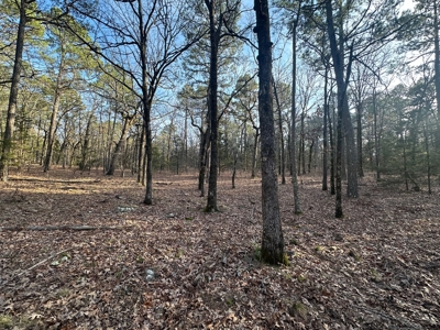 Land for Sale- Near Robbers Cave Park-  Wilburton, Oklahoma - image 14