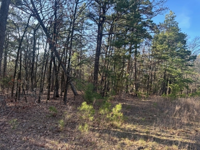 Land for Sale- Near Robbers Cave Park-  Wilburton, Oklahoma - image 9
